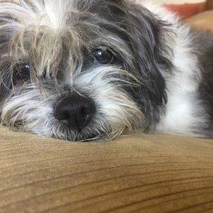 Meet your Posher, Gianna